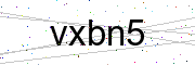 Codice Captcha